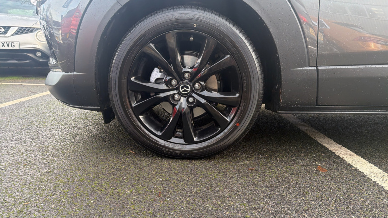 Mazda CX-30 2.0 e-Skyactiv X MHEV Homura 5dr Auto [Sunroof] Petrol Hatchback